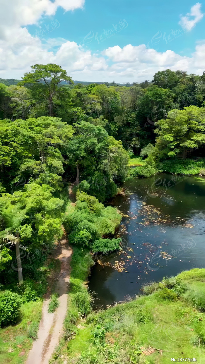 ɭ�ֺ�����Ȼ��⸩�