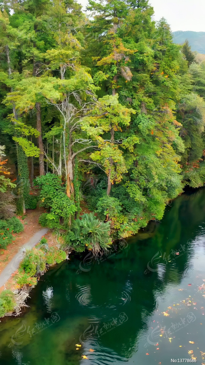 ɭ�ֺ�����Ȼ��⸩�