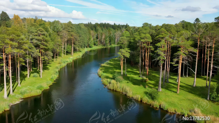 ɭ�ֺ�����Ȼ��⺽��