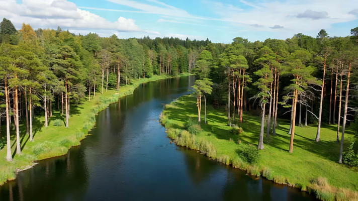 森林河流自然风光航拍 森林河流自然风光航拍