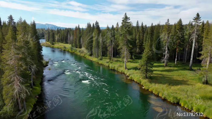 ɭ�ֺ�����Ȼ��⺽��