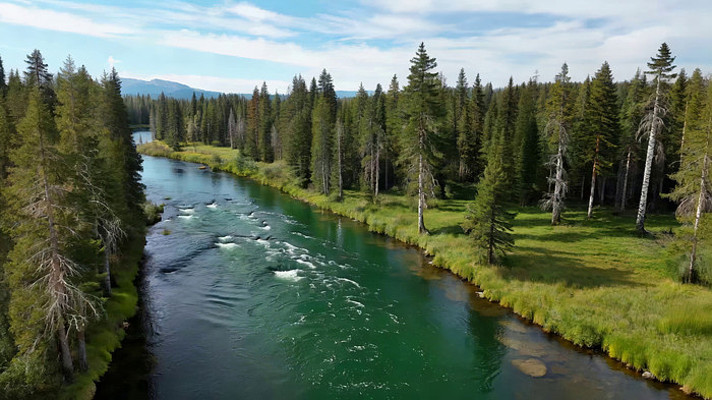 森林河流自然风光航拍 森林河流自然风光航拍