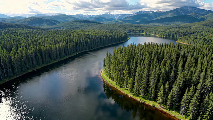 ɭ�ֺ�����Ȼ��⺽��