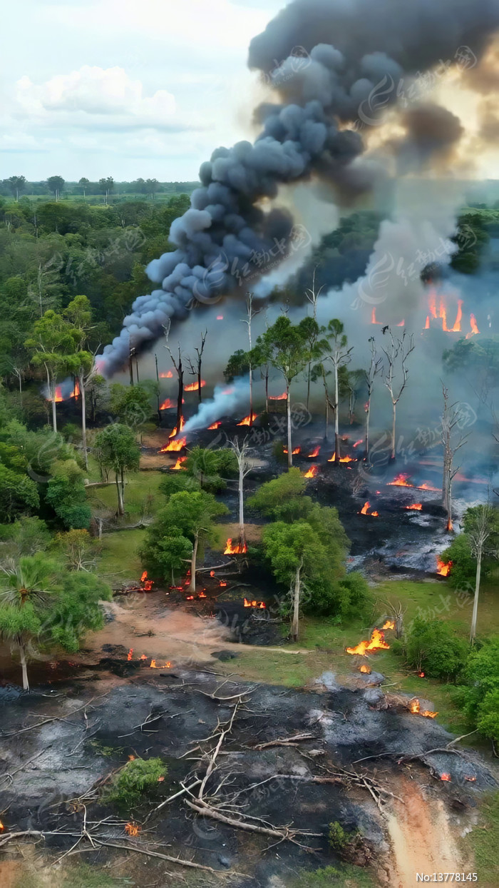 ɭ�ֻ��ֿ��и����