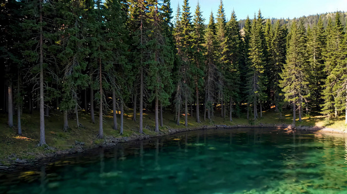 ɭ�����峺��ˮ��Ȼ���