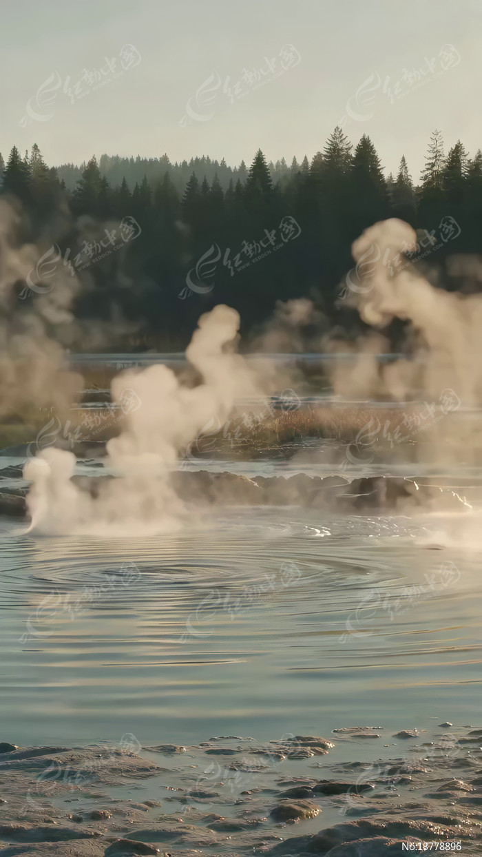 ɭ�����������ڵ�ˮ����