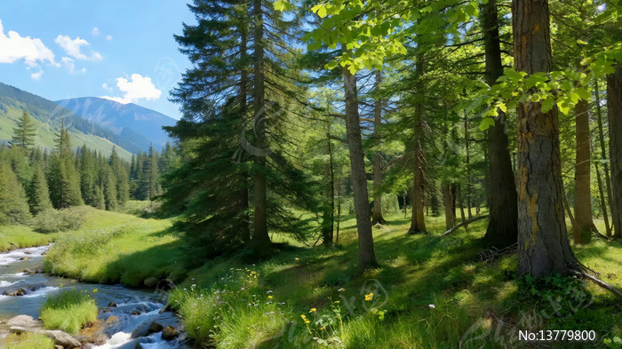 ɭ��ɽ��СϪ��Ȼ���