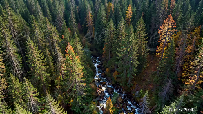 ɭ��Ϫ�����ȫ��