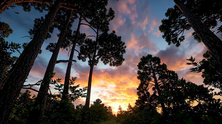 ɭ��Ϧ����վ���