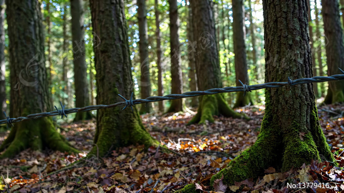 ɭ���д�����˿������