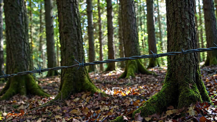 ɭ���д�����˿������