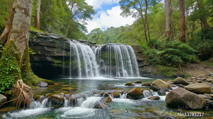 ɭ���е��ٲ�Ϫ������