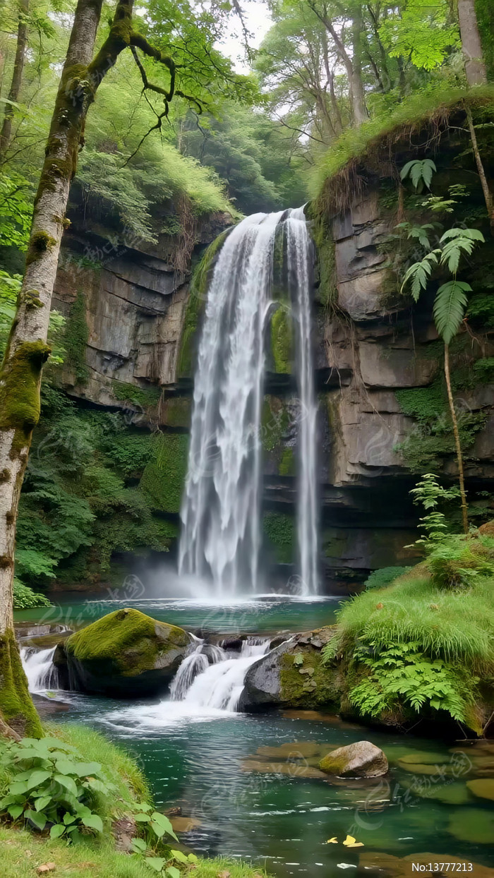 ɭ���е��ٲ���Ȼ����