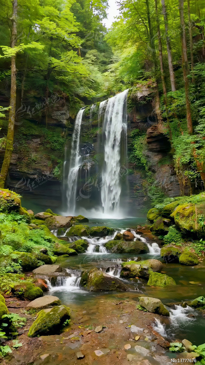 ɭ���е��ٲ���Ȼ����