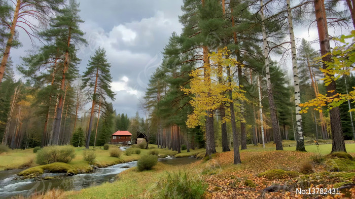 ɭ���е�С����Ϫ������