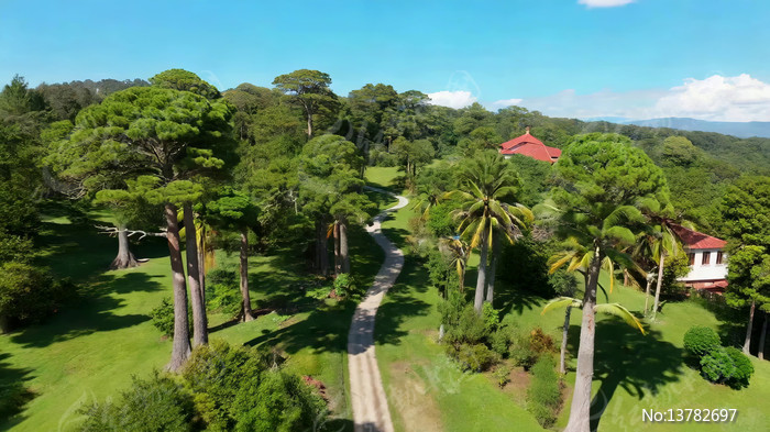 ɭ���з�������ľ����ȫ��