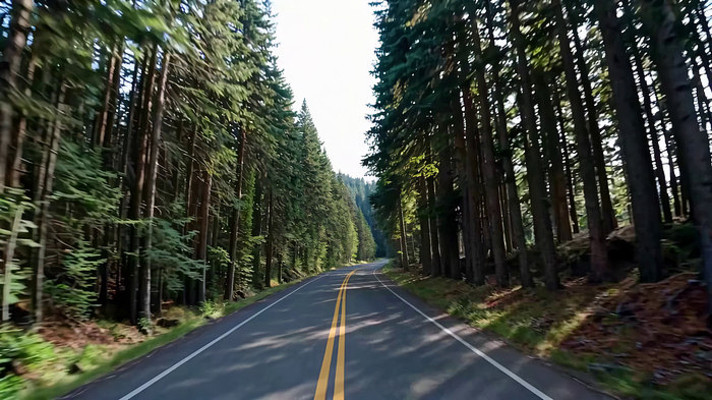 ɭ���й�·��ʻ�ӽ��ز�