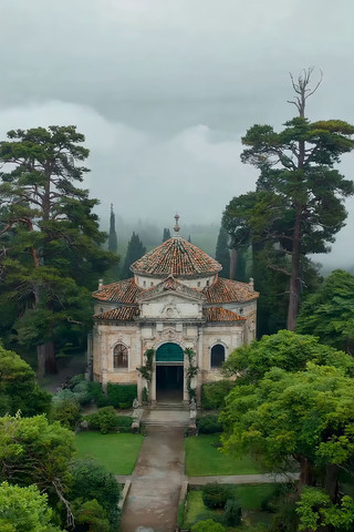 ɭ���йŽ��������