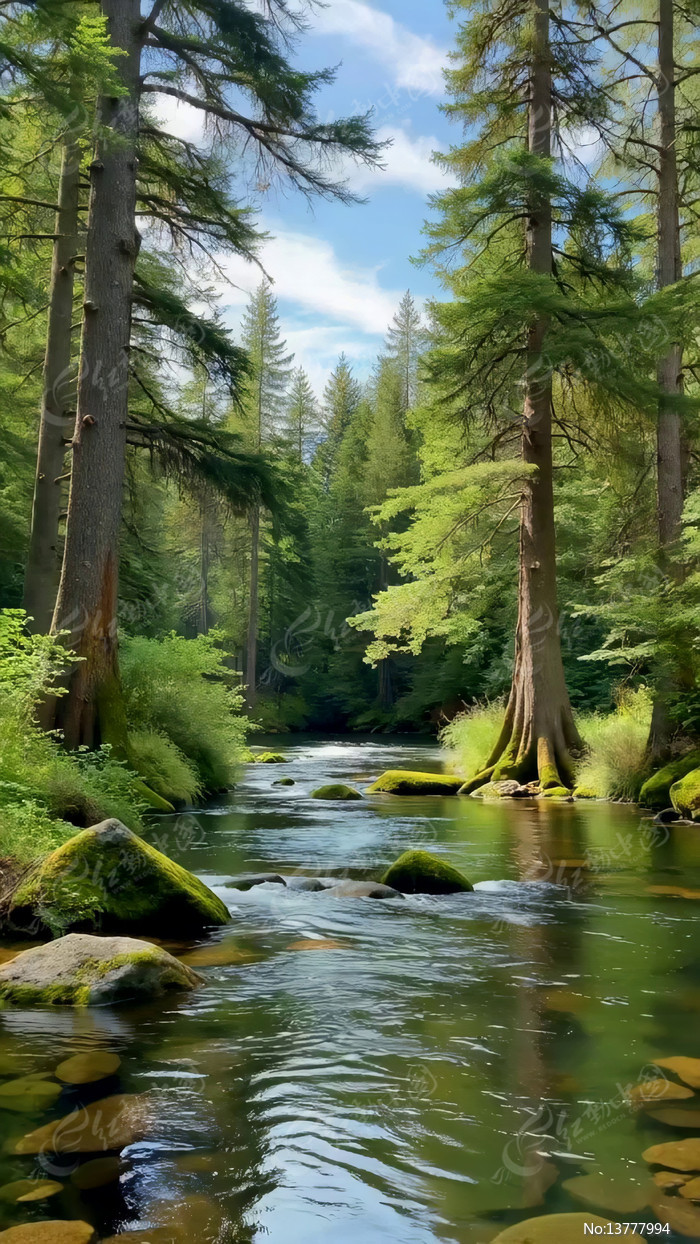 ɭ���к�����Ȼ����