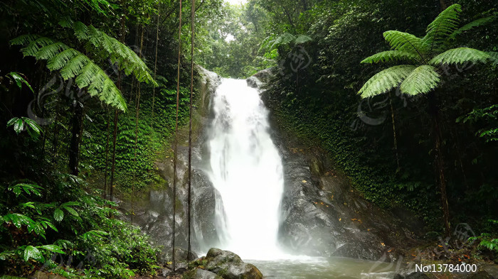 ɭ�����ٲ���Ȼ�����ز�