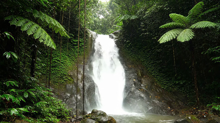 ɭ�����ٲ���Ȼ�����ز�