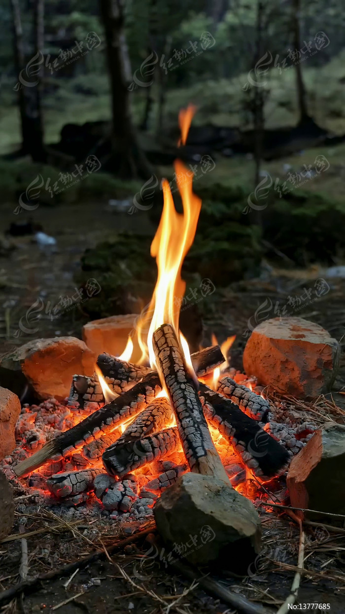 ɭ����ȼ�յ�����