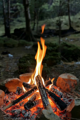 ɭ����ȼ�յ�����