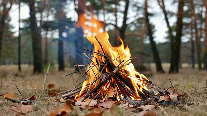 ɭ����ȼ�յ������ز�