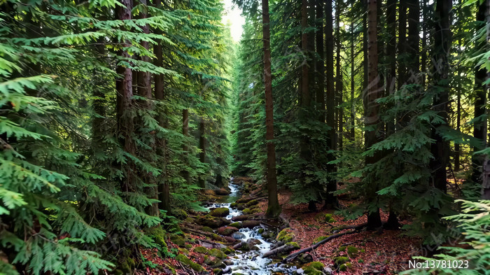 ɭ����Ϫ�����е���Ȼ����