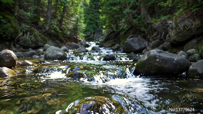 ɭ����Ϫ����������