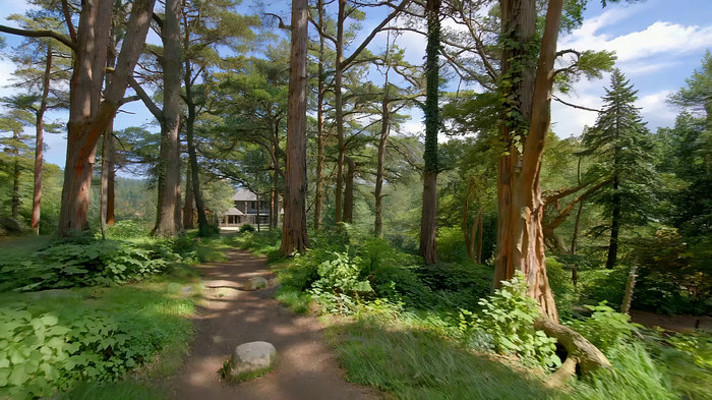 ɭ��������������ּ�С��