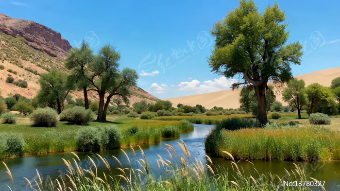 ɳĮ�ߺ���������Ȼ���