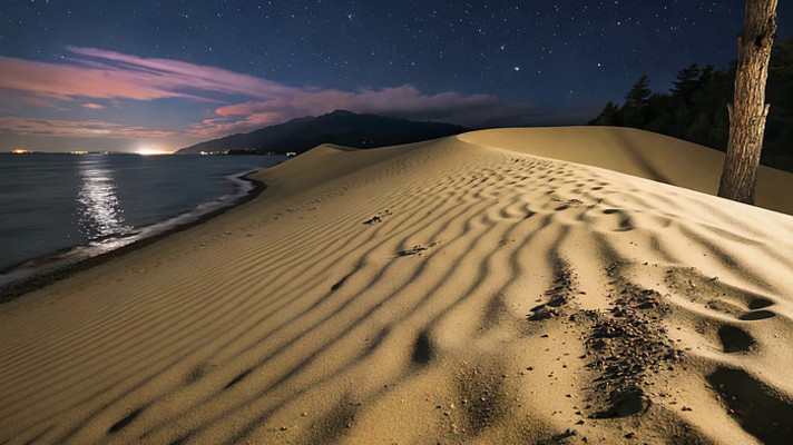 ɳĮ�����ǿ�ҹ��