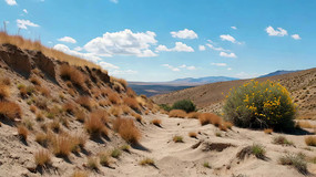 ɳĮ��Ұ��Ȼ���