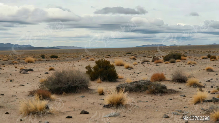 ɳĮ��Ұ��Ȼ����