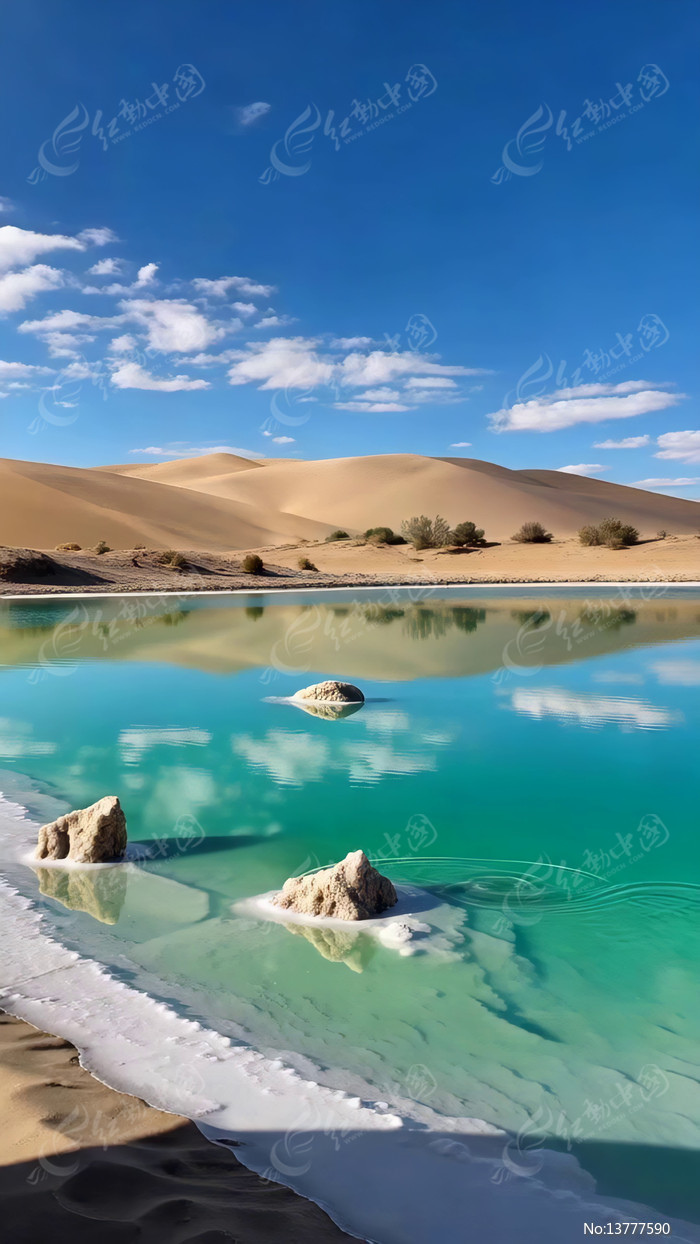 ɳĮ�Եı��̺������