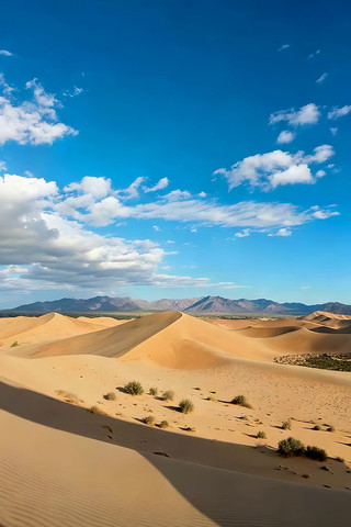 ɳĮɳ��������Ʒ羰