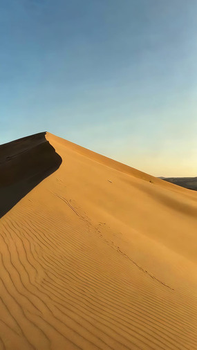 ɳĮɳ����Ȼ���