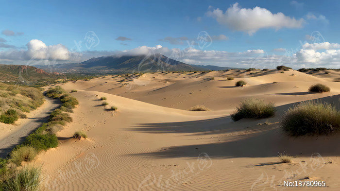 ɳĮɳ����Ȼ���ȫ��