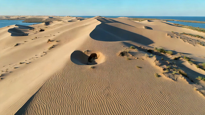 ɳĮɳ����Ȼ���ȫ��