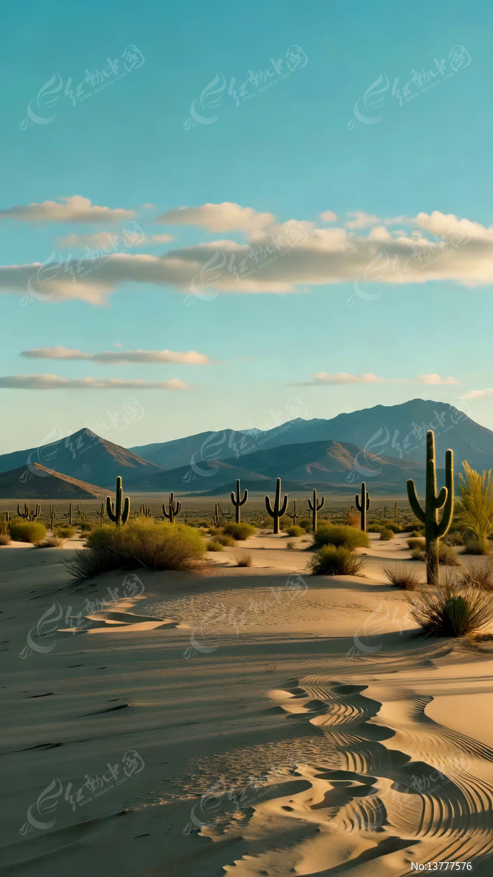 ɳĮ��������Ȼ���