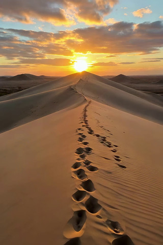 ɳĮϦ����ɳ���ϵĽ�ӡ