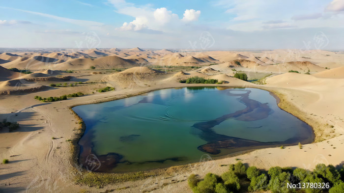 ɳĮ�к����Ŀ���ȫ��