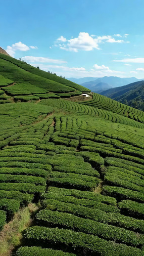 ɽ�ز�԰��Ȼ���