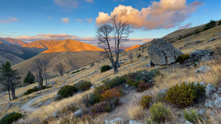 ɽ�ػƻ���Ȼ���