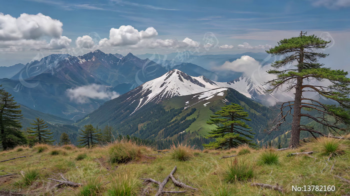 ɽ��ɭ����Ȼ���ȫ��