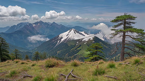 ɽ��ɭ����Ȼ���ȫ��