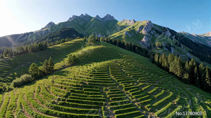 ɽ��������Ȼ���