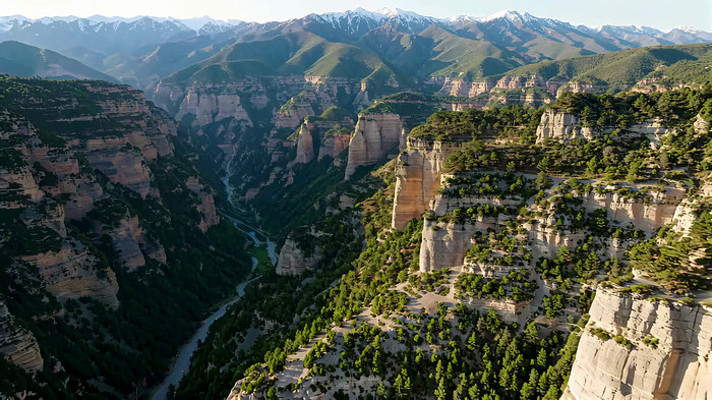 ɽ��Ͽ����Ȼ��⺽��