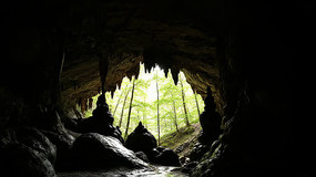 ɽ�����������ⰻȻ��ɭ�־���